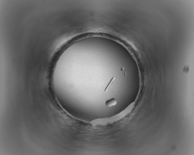 X0000091981311200709201418