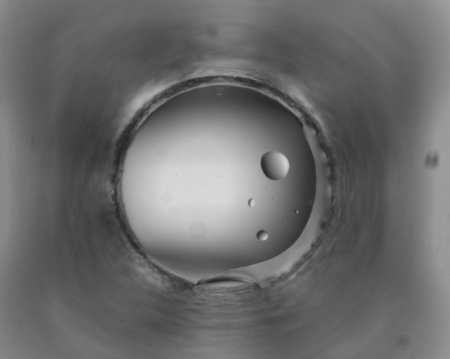 X0000091981312200709201418