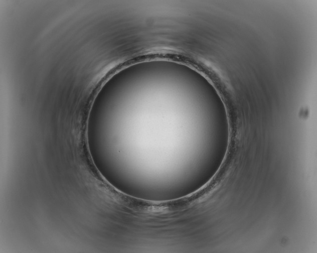 X0000091981313200709201418