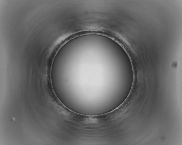 X0000091981315200709201418