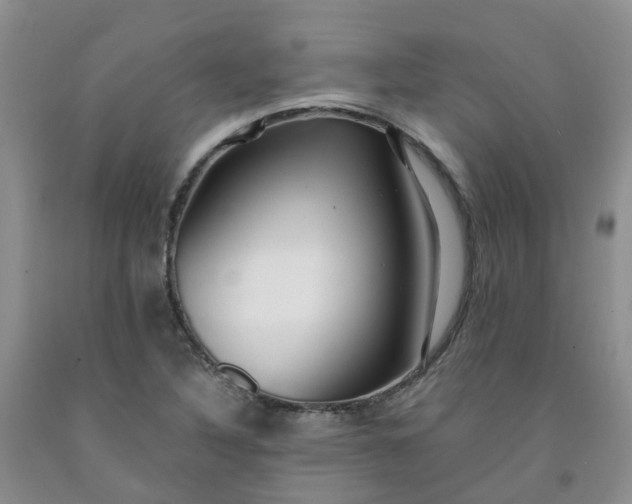 X0000091981316200709201418