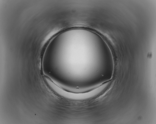 X0000091981317200709201418