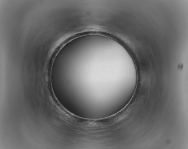 X0000091981318200709201418