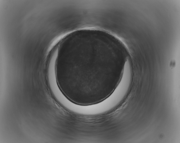 X0000091981319200709201418