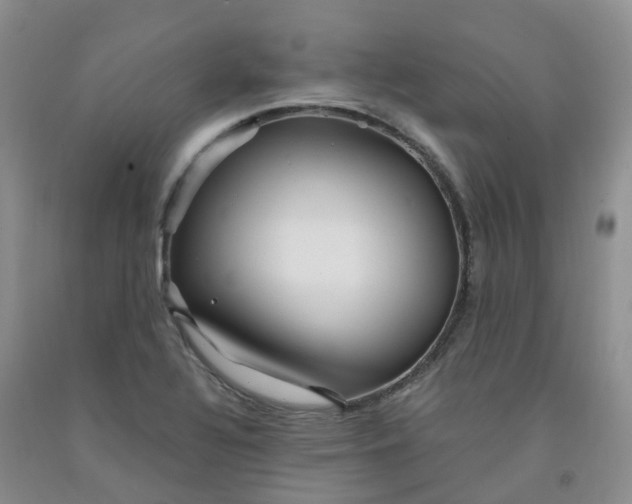 X0000091981320200709201418