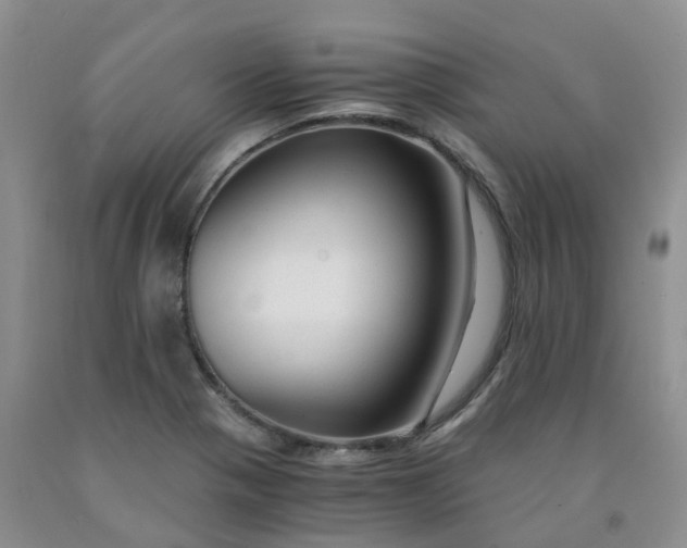 X0000091981321200709201418