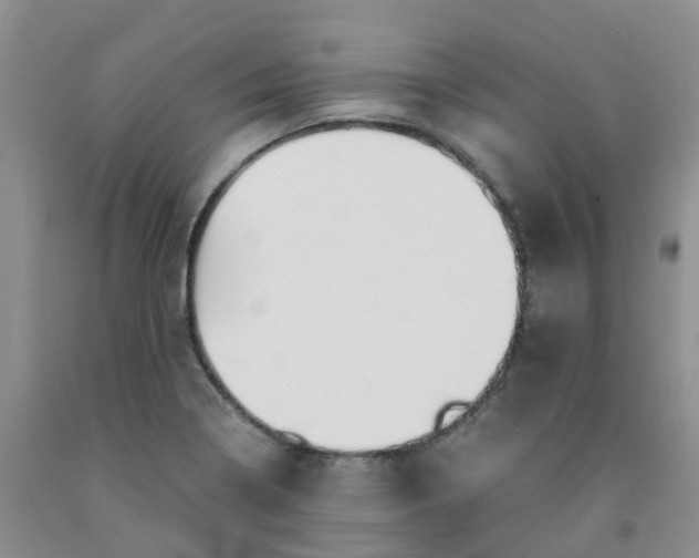 X0000091981322200709201418