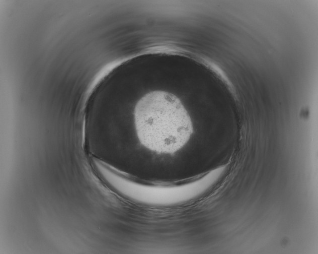 X0000091981323200709201418