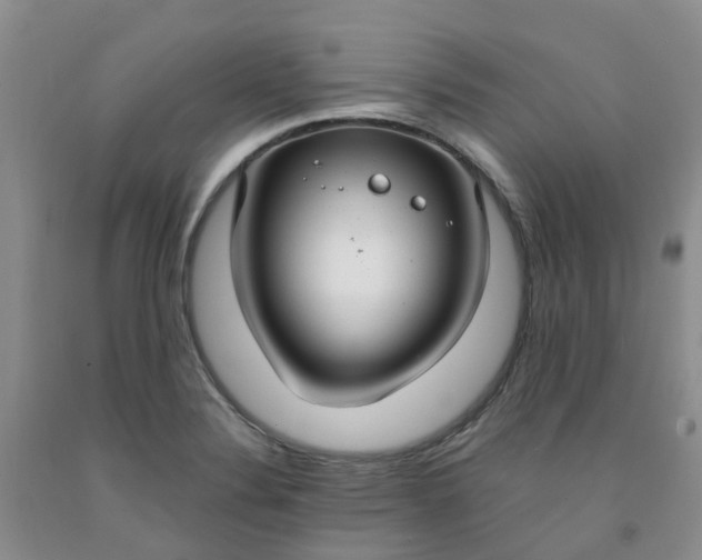 X0000091981324200709201418