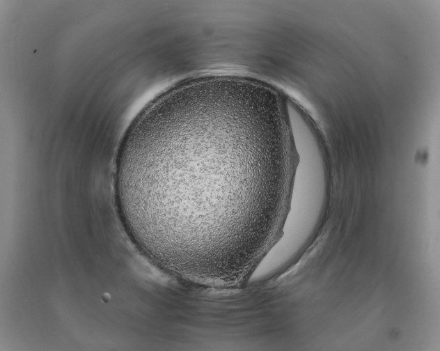 X0000091981325200709201418