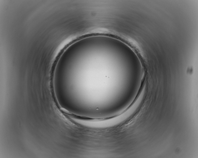 X0000091981326200709201418