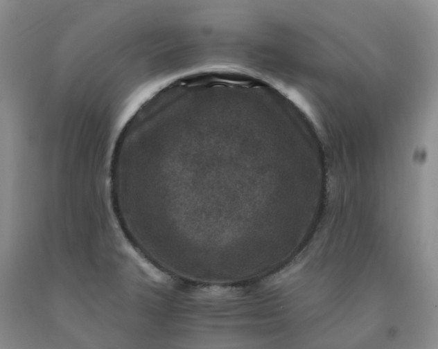 X0000091981327200709201419