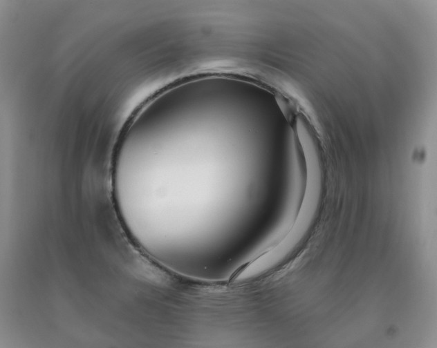 X0000091981328200709201419