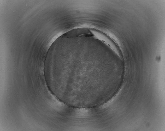 X0000091981329200709201419