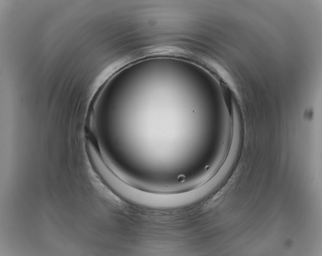 X0000091981330200709201419