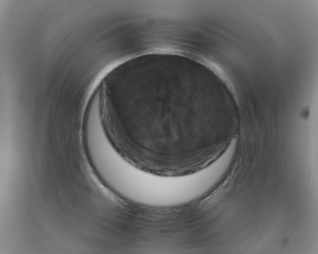 X0000091981331200709201419