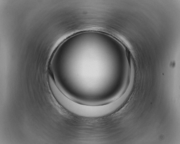 X0000091981332200709201419