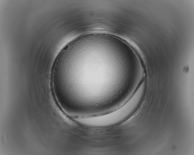 X0000091981333200709201419