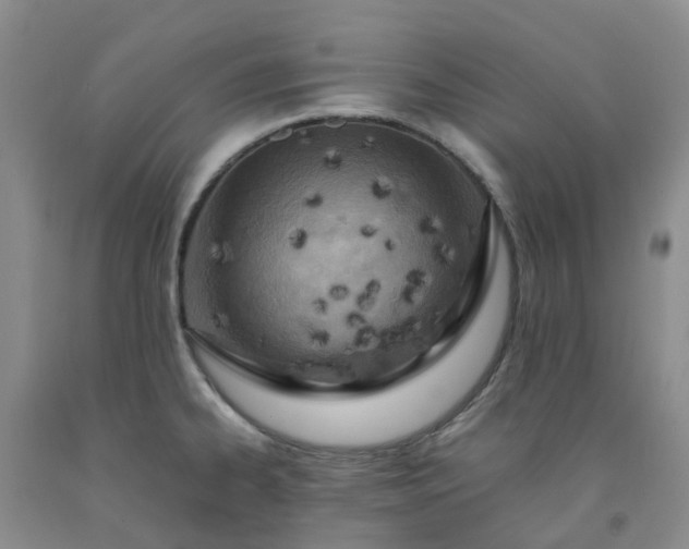 X0000091981334200709201419