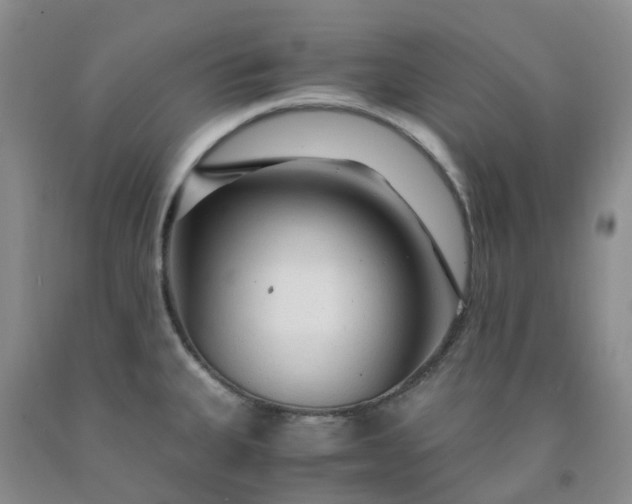 X0000091981335200709201419