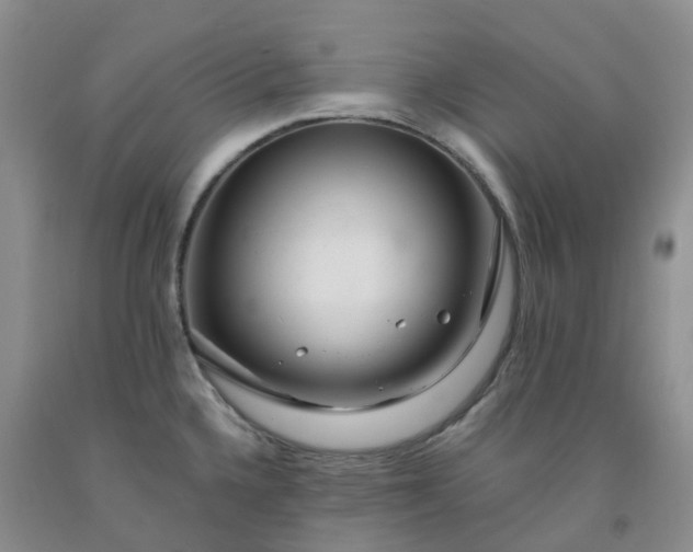 X0000091981336200709201419