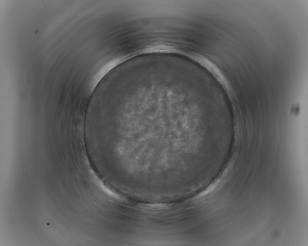 X0000091981337200709201419