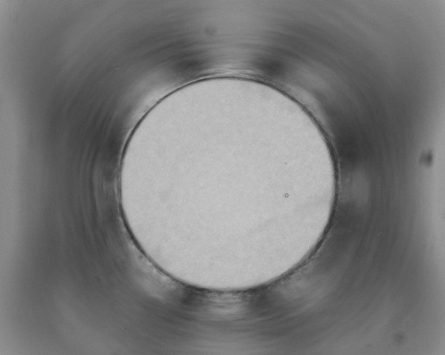 X0000091981338200709201419