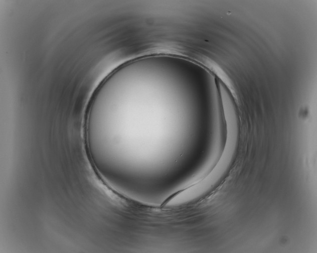 X0000091981339200709201419