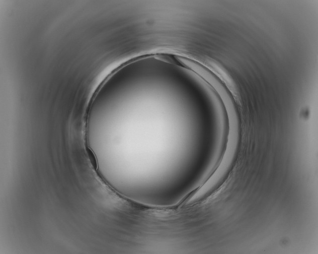 X0000091981340200709201419