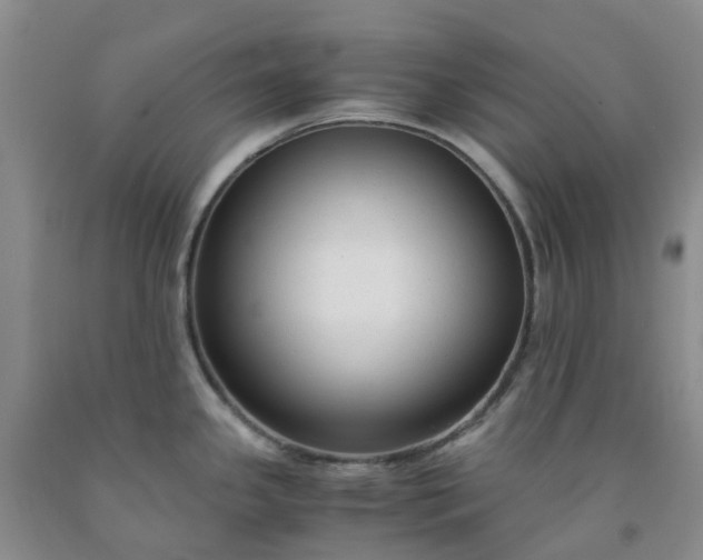 X0000091981341200709201419