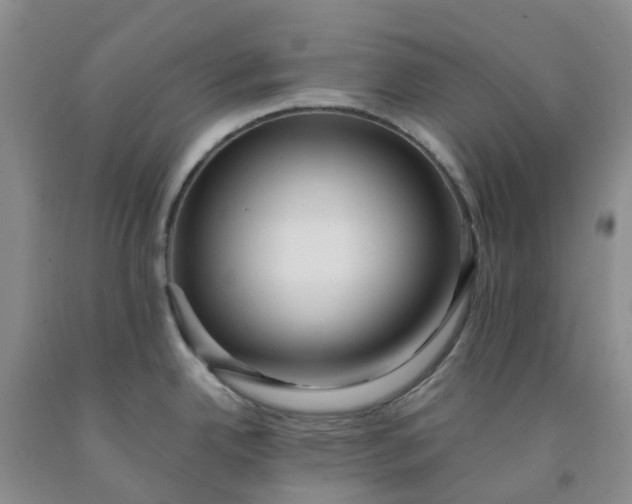 X0000091981342200709201419