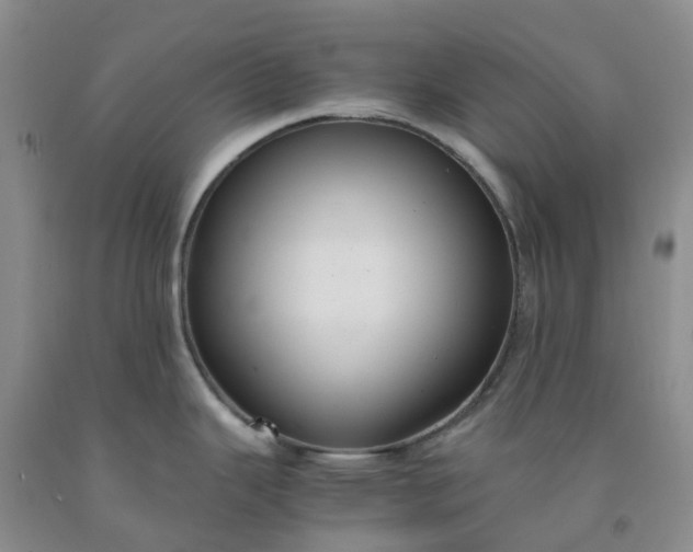 X0000091981343200709201419