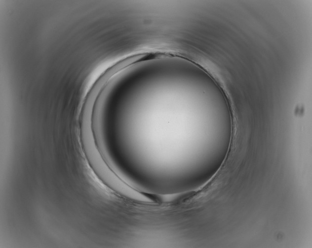 X0000091981344200709201419