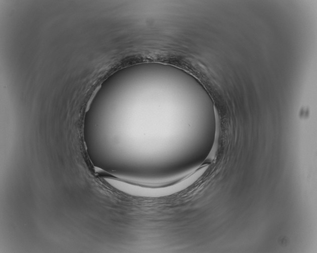 X0000091981345200709201418