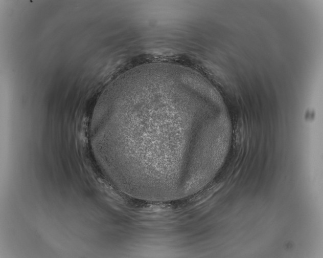 X0000091981346200709201418