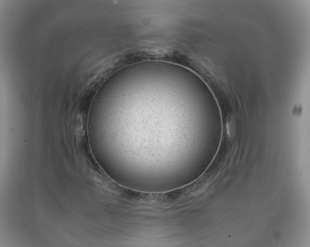 X0000091981347200709201418