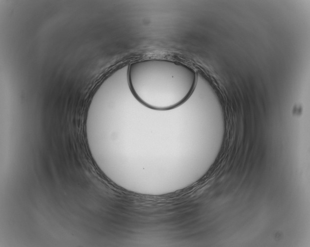 X0000091981348200709201418