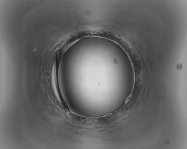 X0000091981349200709201418