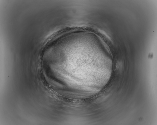 X0000091981350200709201418