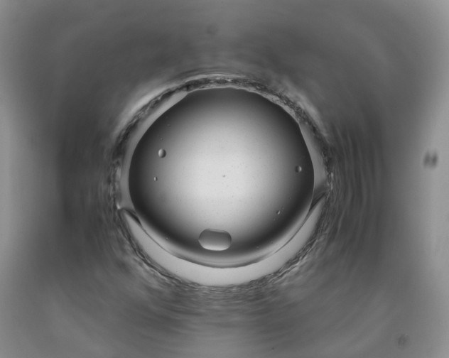 X0000091981352200709201418