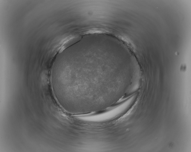 X0000091981353200709201418