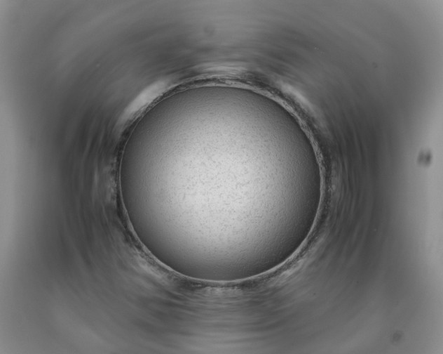 X0000091981354200709201418