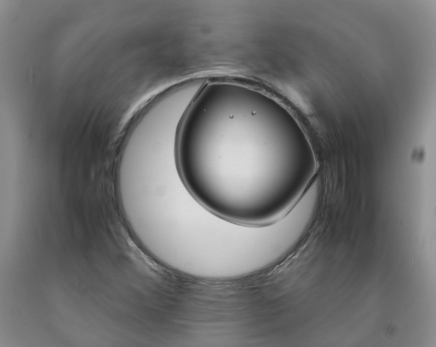 X0000091981356200709201418