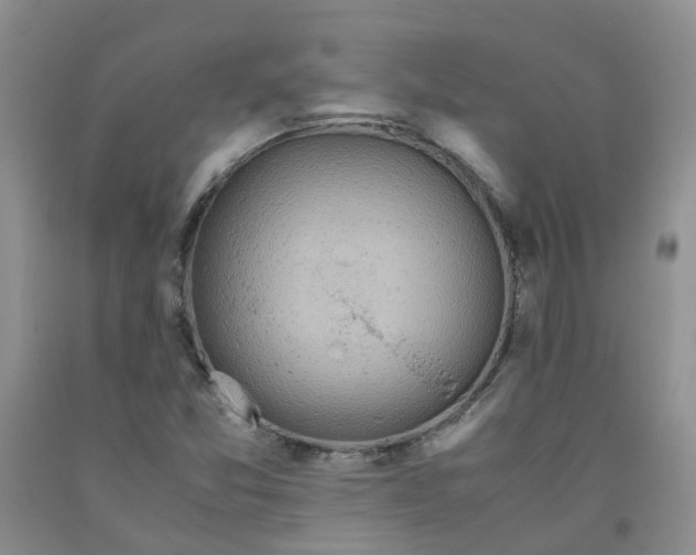 X0000091981357200709201418