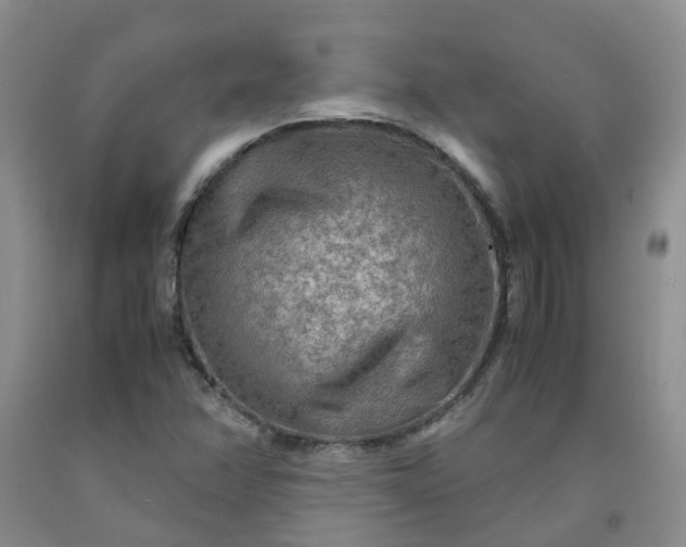 X0000091981358200709201418