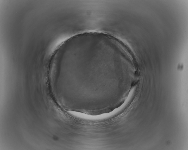 X0000091981359200709201418