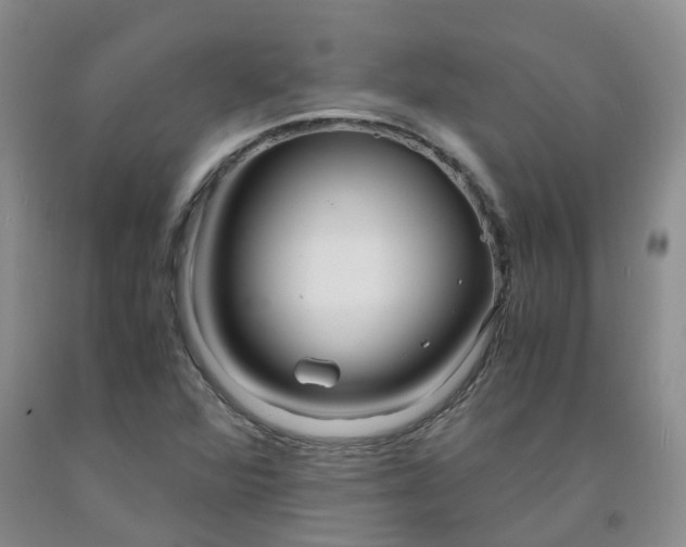 X0000091981360200709201418