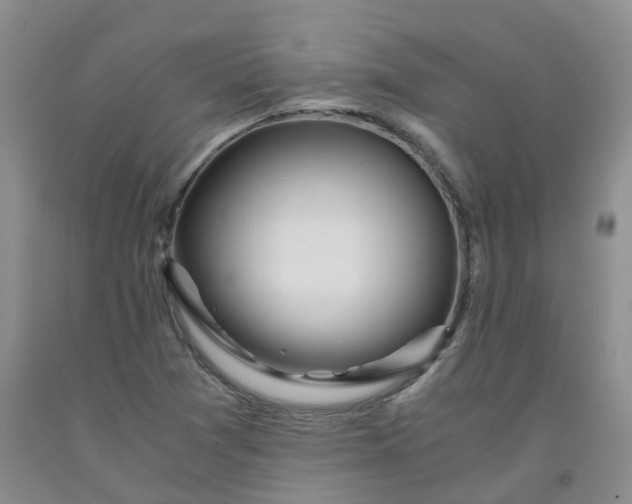 X0000091981361200709201418