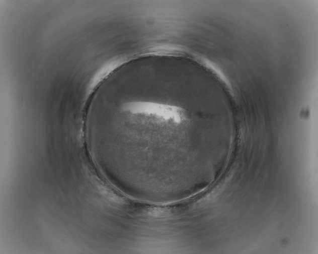 X0000091981362200709201418