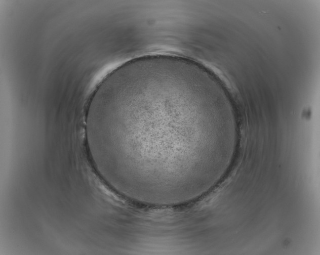 X0000091981363200709201418